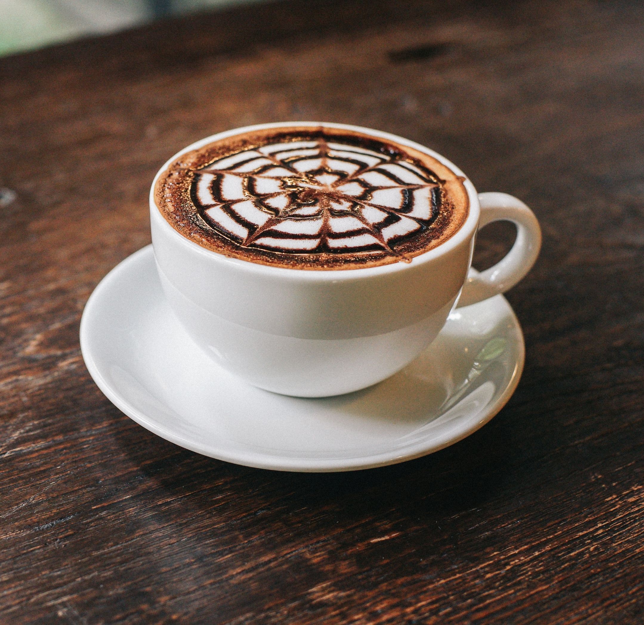 MOCHA Fotoğrafı